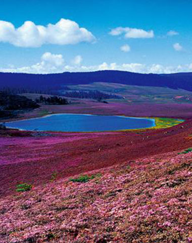 普洱獎勵旅游活動策劃方案書