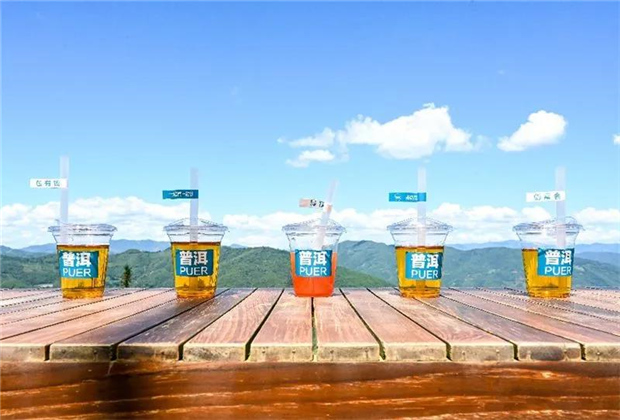 “云海之上”的“皮卡之旅”，駛進天賜普洱！