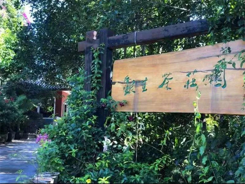 普洱特色團建，浪漫茶旅+美食精品兩日游經(jīng)典線路推薦