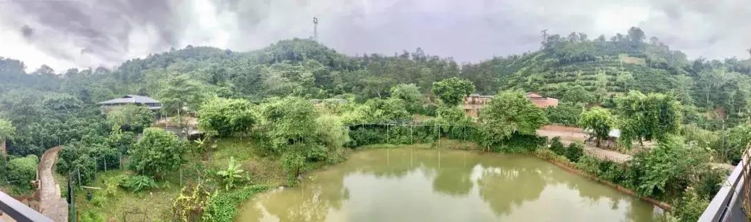 普洱特色團建：普洱小凹子咖啡莊園