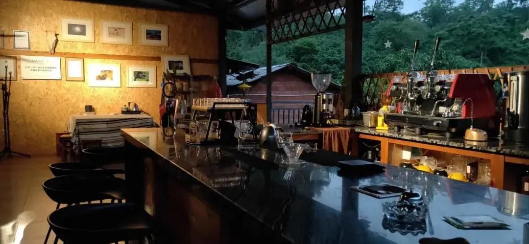 普洱特色團建：普洱小凹子咖啡莊園