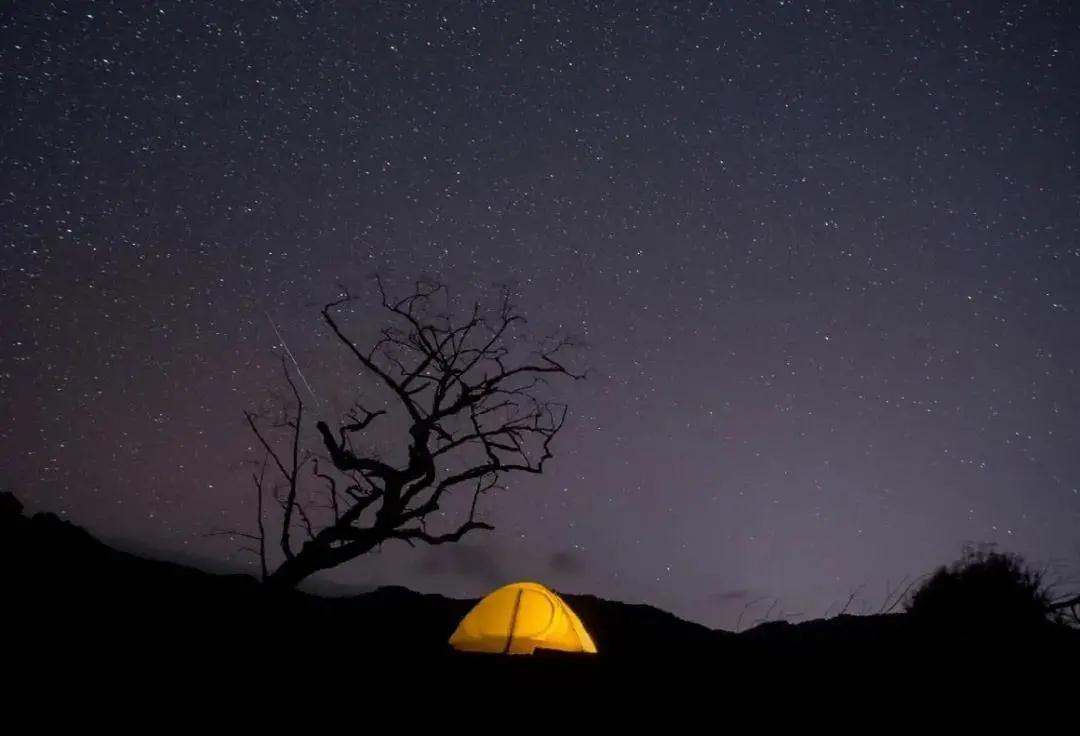 普洱特色團建：普洱小凹子咖啡莊園