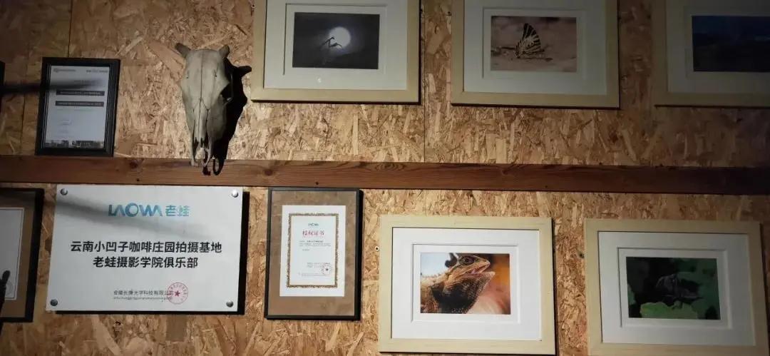 普洱特色團建：普洱小凹子咖啡莊園