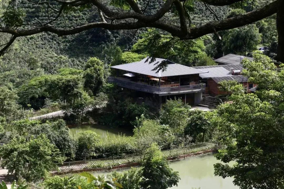 普洱特色團建：普洱小凹子咖啡莊園