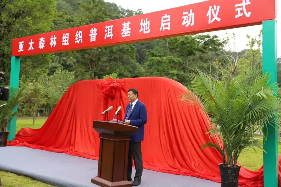 2021年8月文藝工作者采風創作活動在云南普洱基地萬掌山林場順利舉行