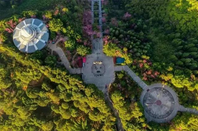 普洱特色團建 普洱特色團建