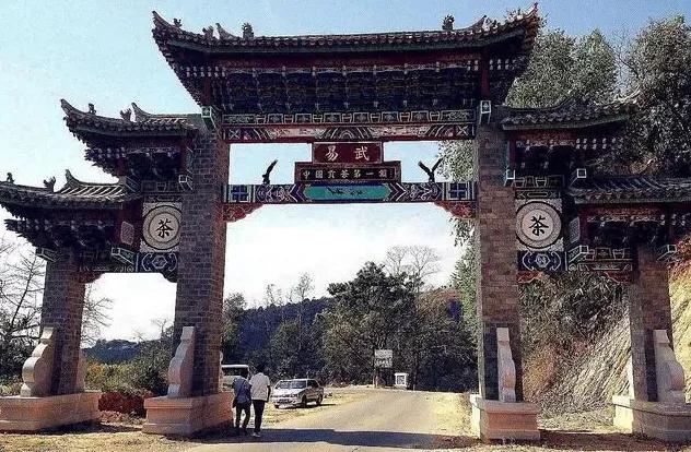 普洱特色團建-古茶山行