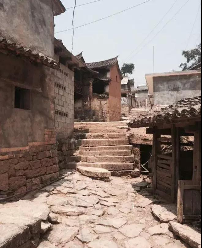 普洱特色團建-古茶山行