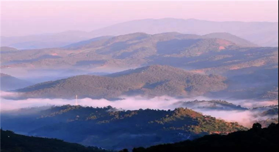 云南冬令營推薦:2022年冬令營,昆明普洱西雙版納一站式研學,穿越茶馬古道,品鑒云南咖啡